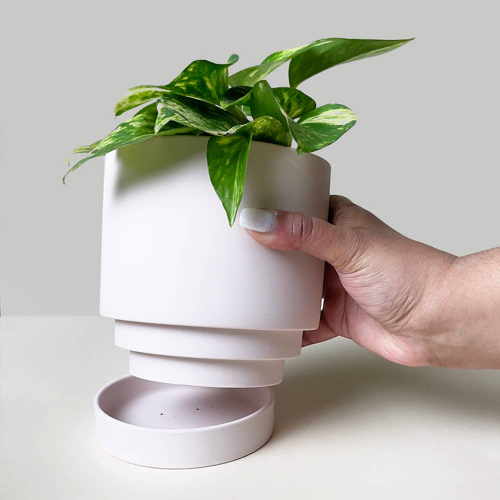 Casey Pots and Planters