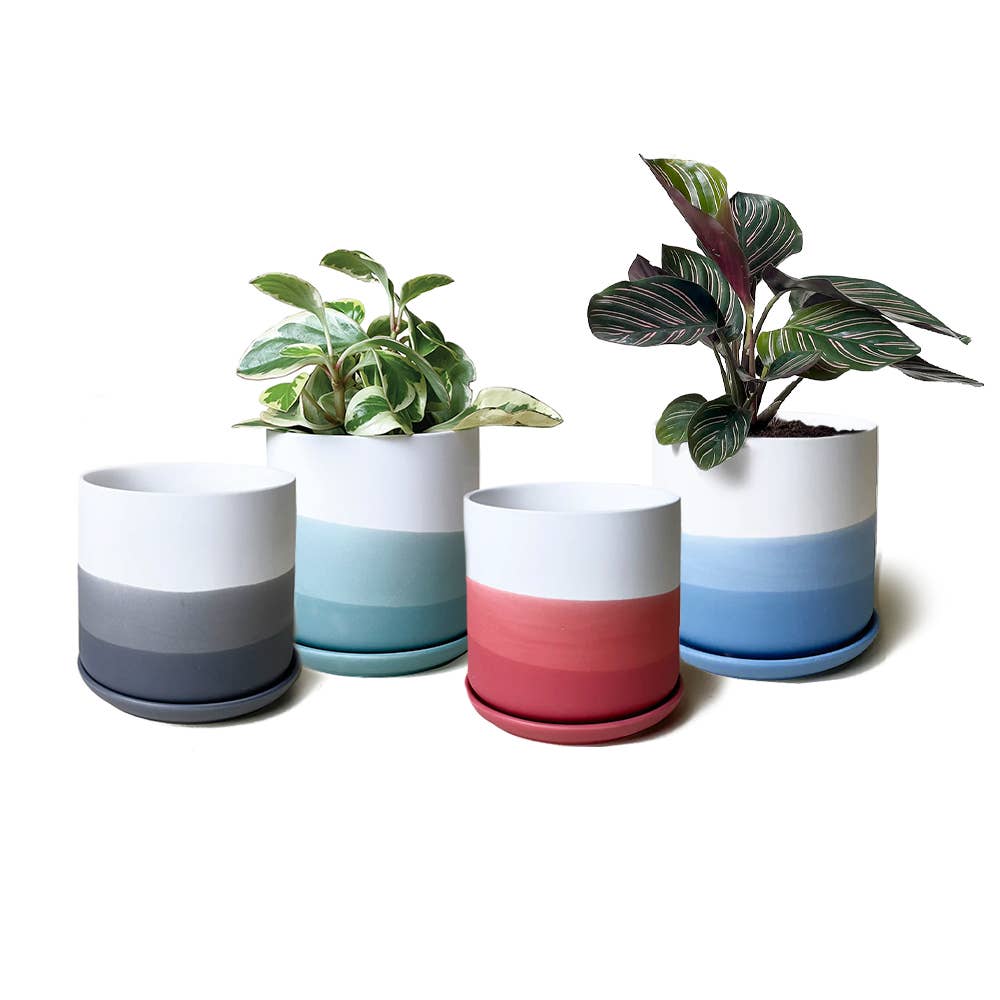 Devo Ceramic Plant Pots: Green