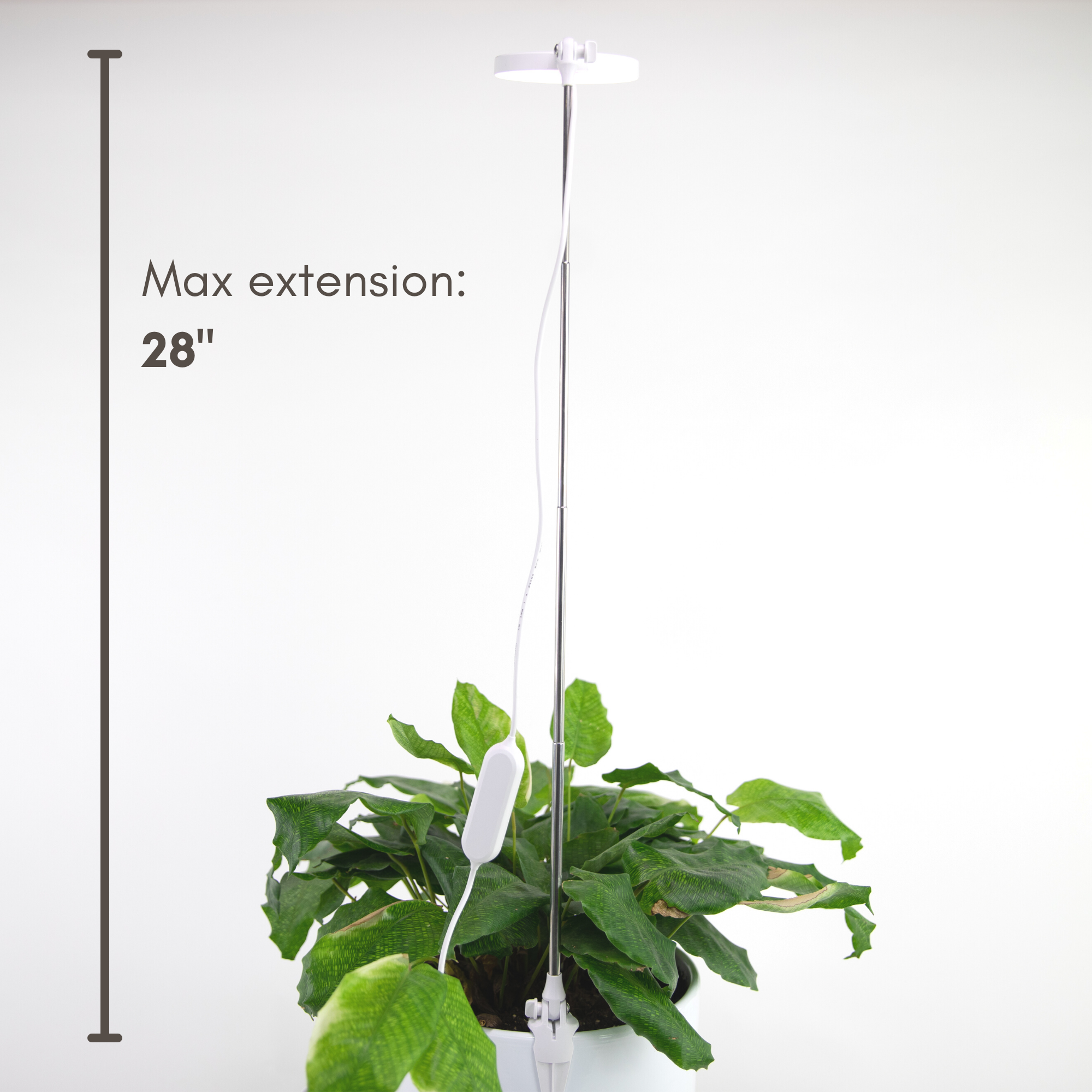 Adjustable LED Plant Light: White