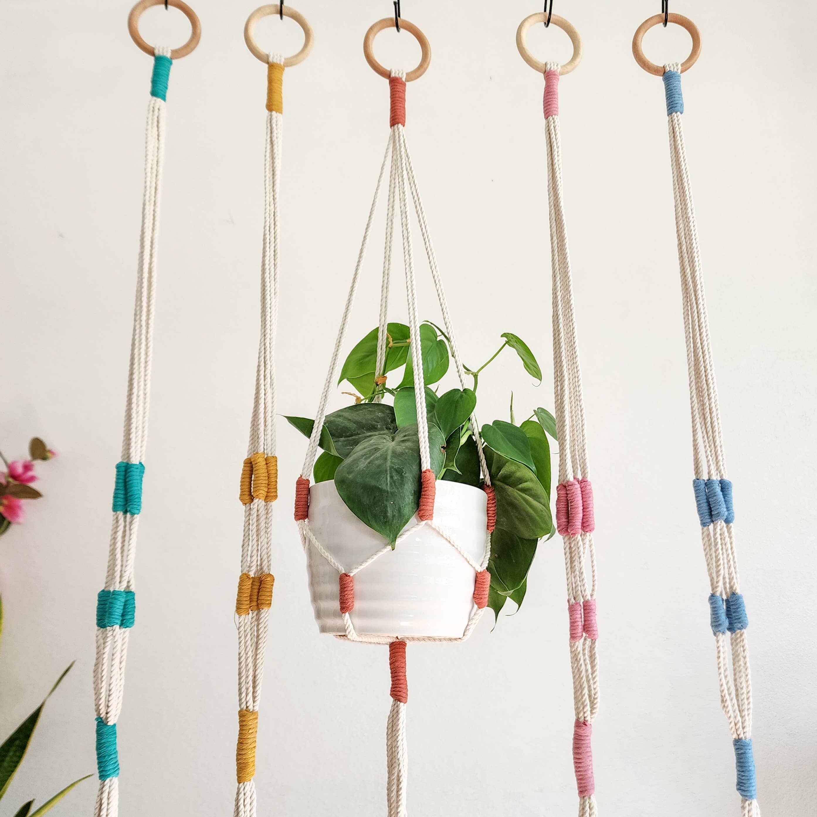 blue macrame plant hanger Color Block Plant Hangers, Handmade Macrame Plant Accessory: Peacock B – Desert Rose Cactus Lounge