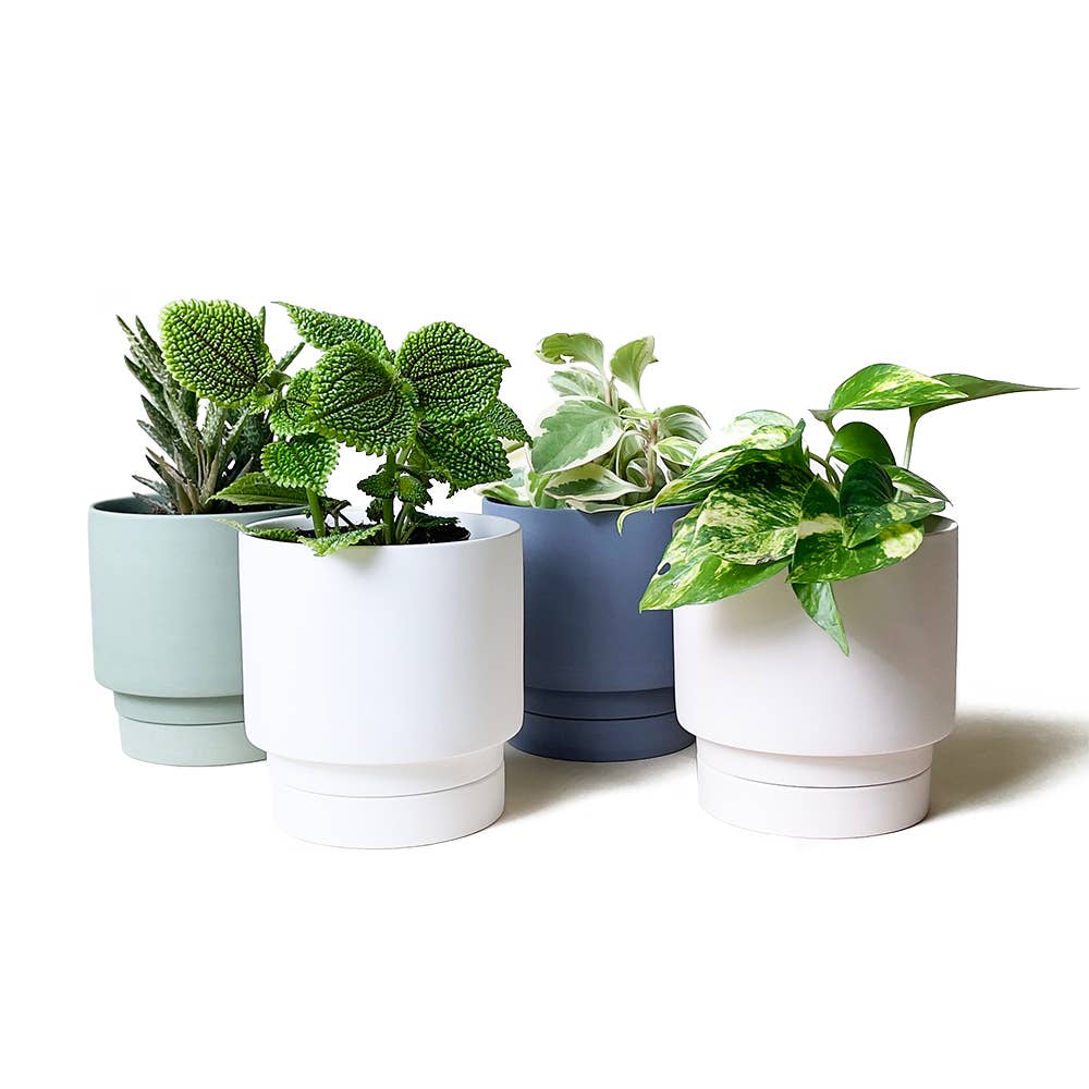 Casey Pots and Planters