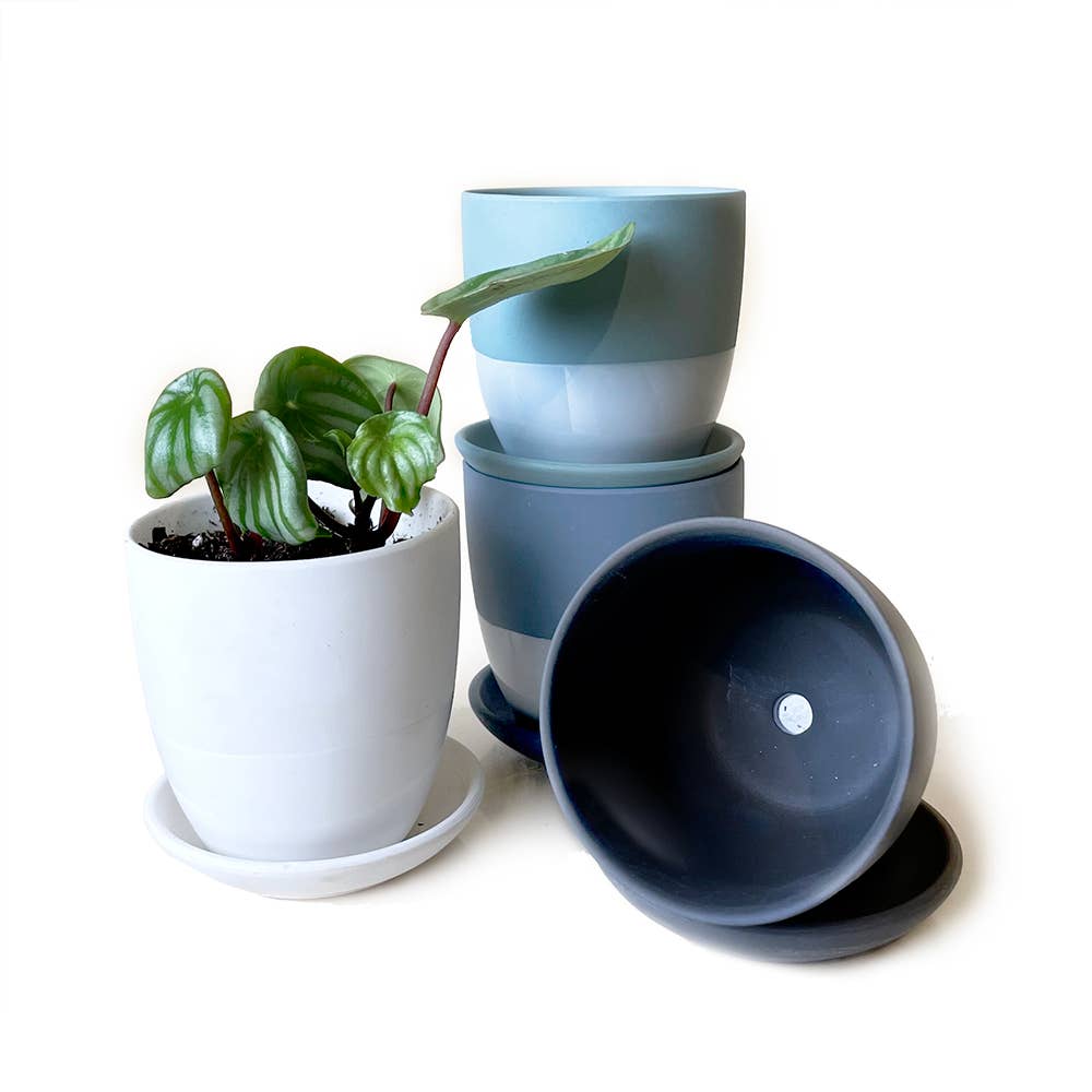 Dyad Indoor Plant Pot For Succulents With Drainage: White / 5"