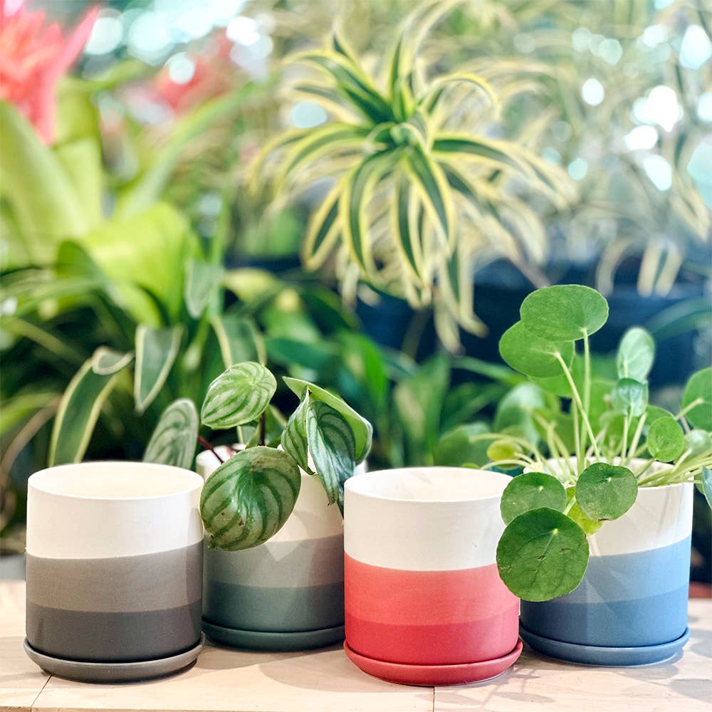 Devo Ceramic Plant Pots: Charcoal Grey