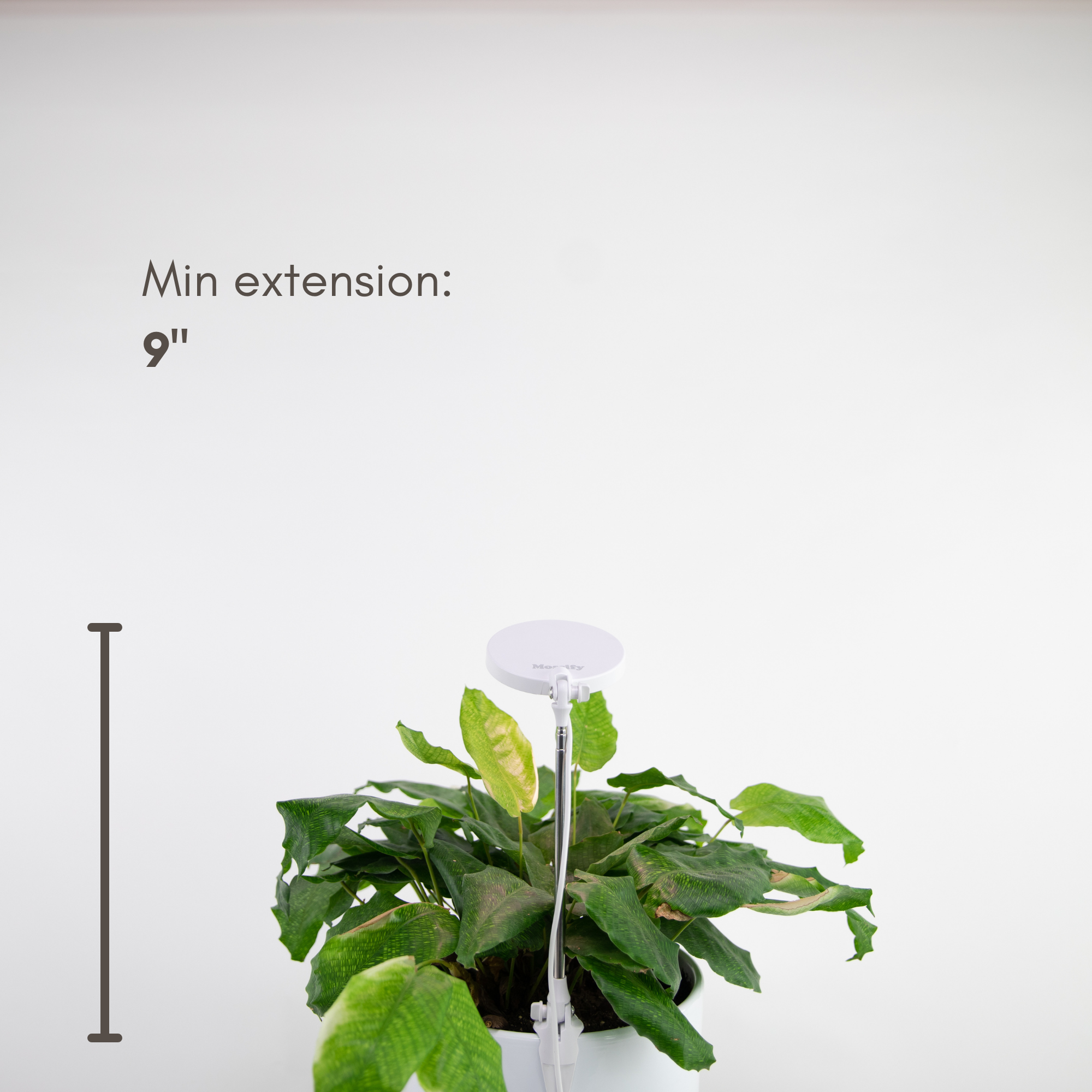 Adjustable LED Plant Light: White