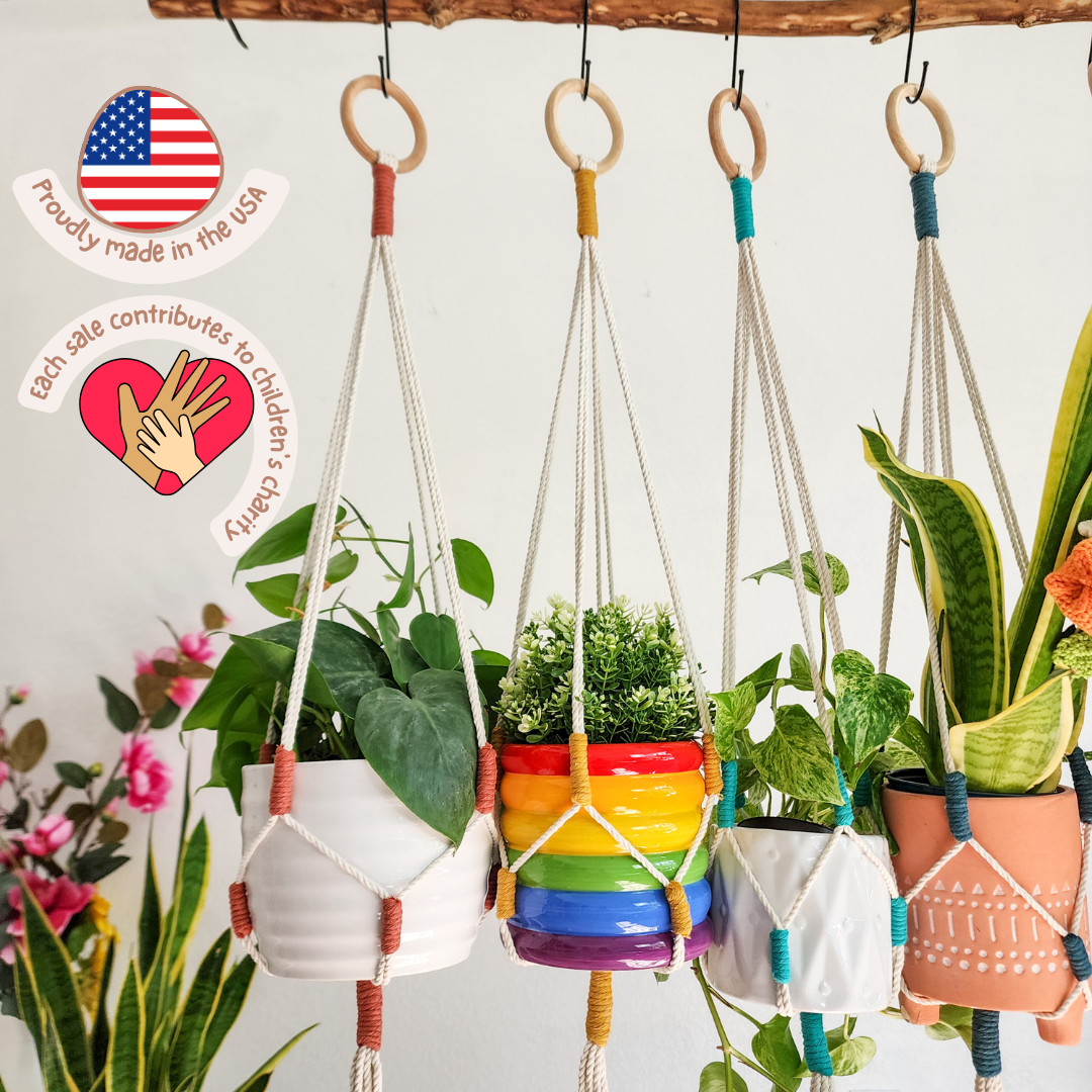 plant hangers for hanging baskets Color Block Plant Hangers, Handmade Macrame Plant Accessory: Peacock B – Desert Rose Cactus Lounge