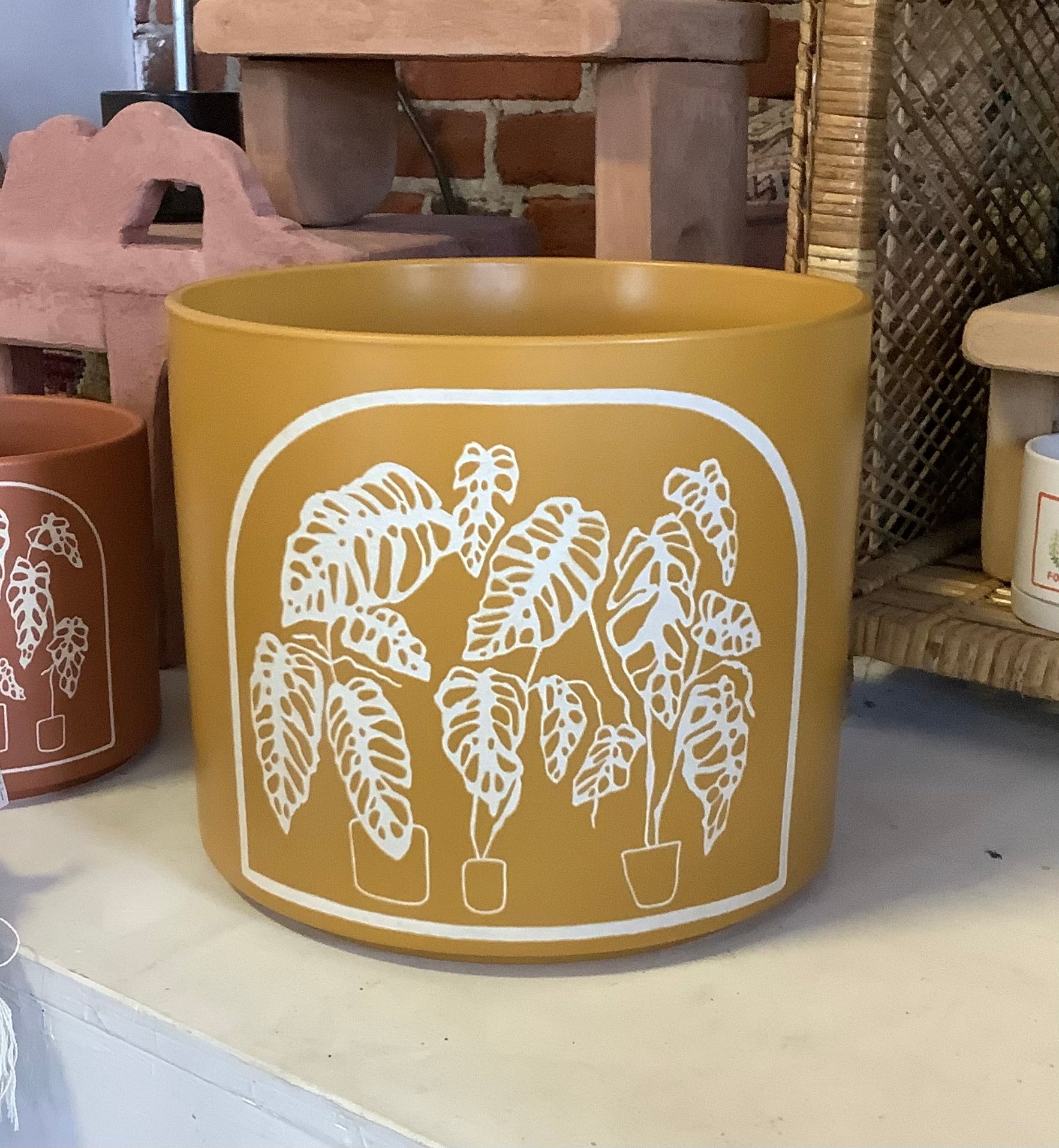Cambrian Collective Planters