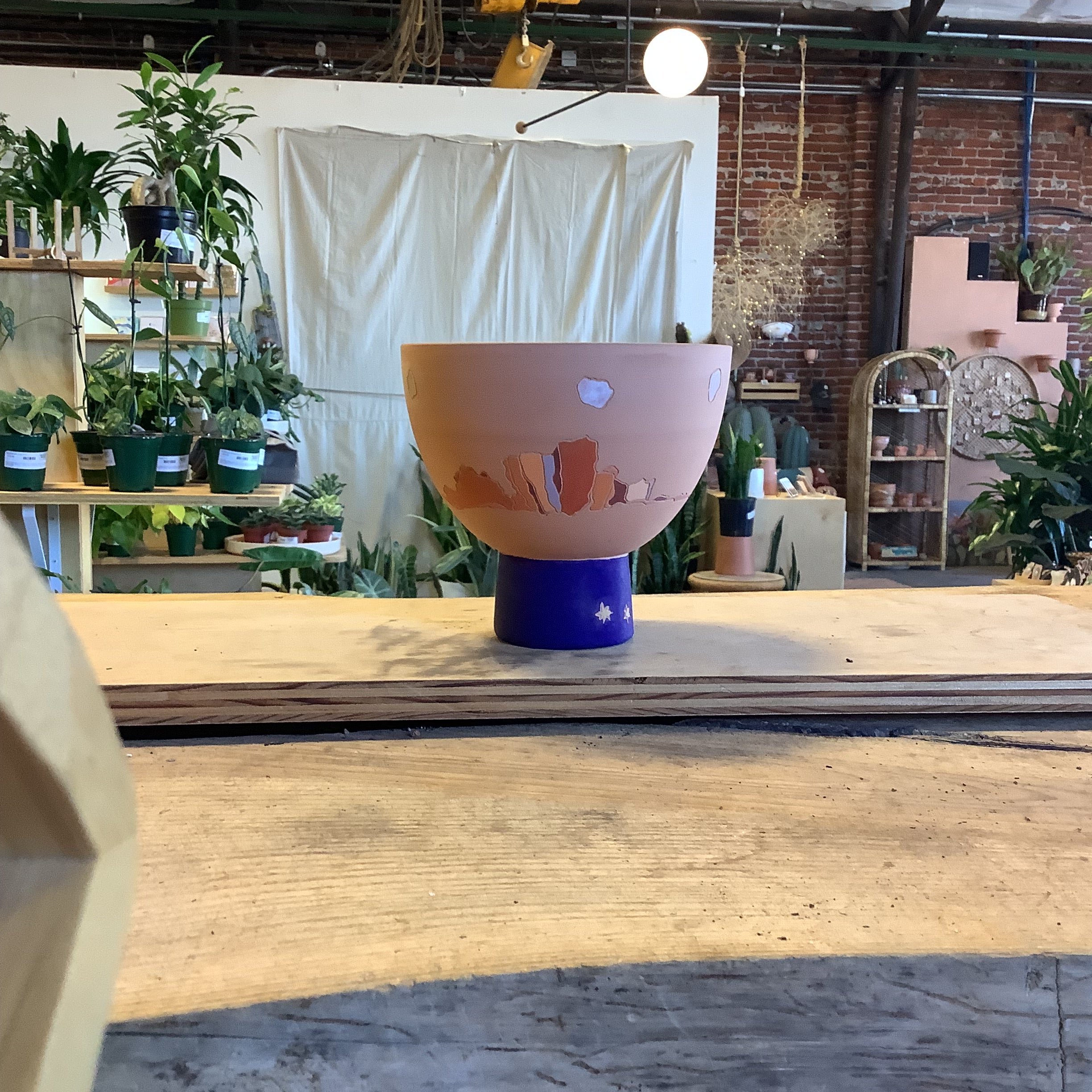 Cambrian Collective Planters