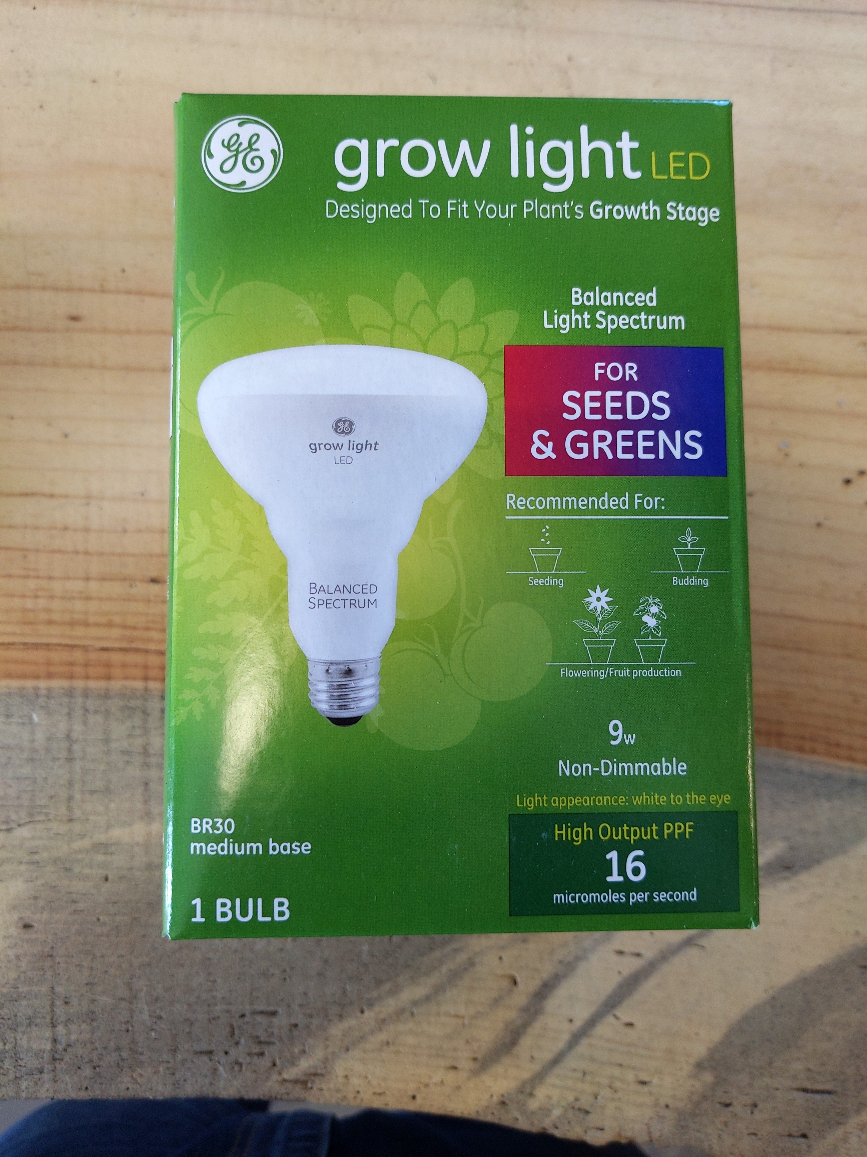 GE Grow Light  Desert Rose Cactus Lounge