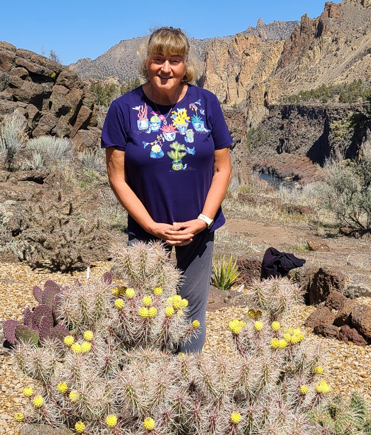 cold hardy cactus and succulents Cold Hardy Cacti with Smith Rock Cactus Company – Desert Rose Cactus Lounge