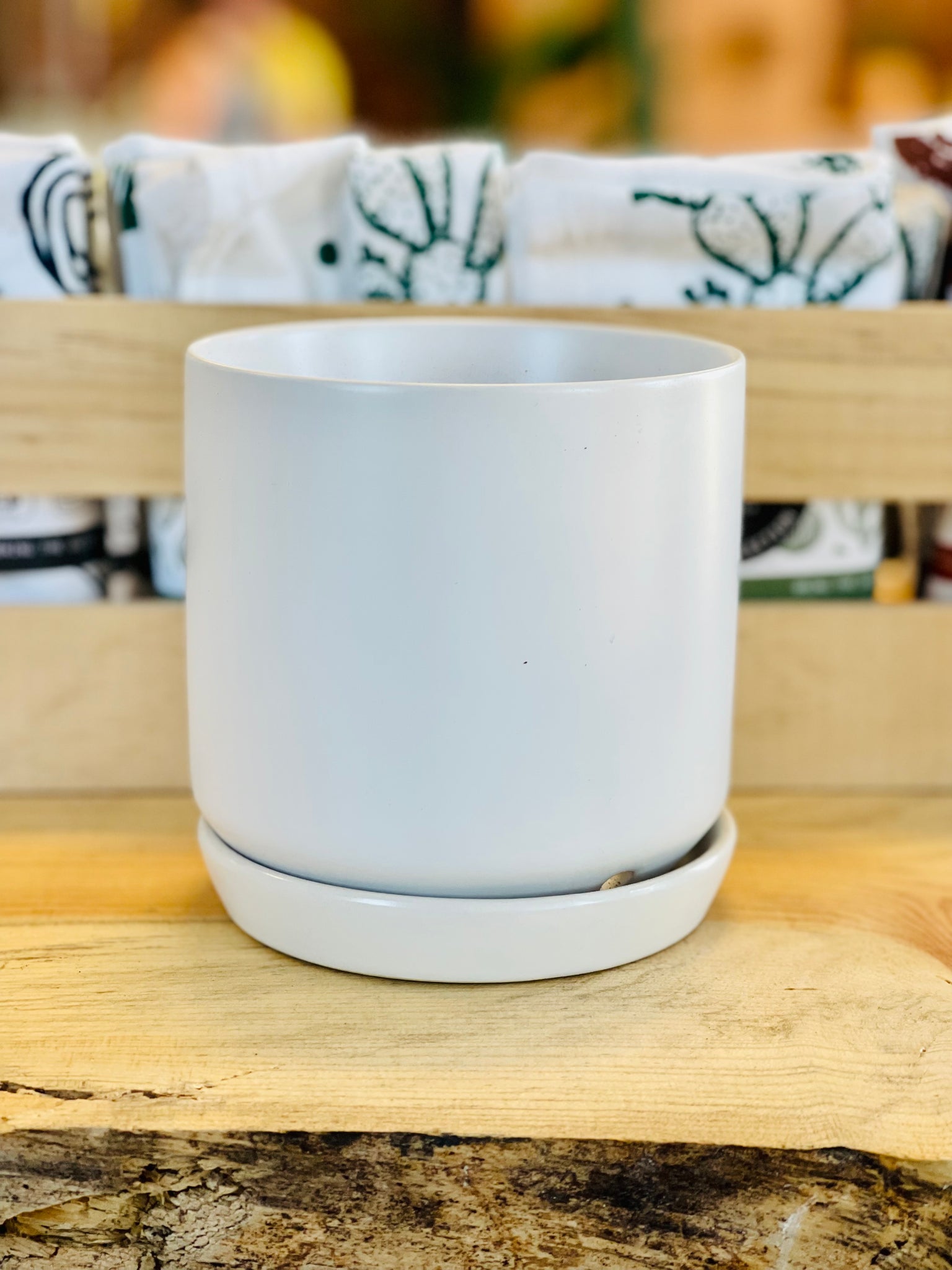 palm springs planter Palm Springs Planter – Desert Rose Cactus Lounge