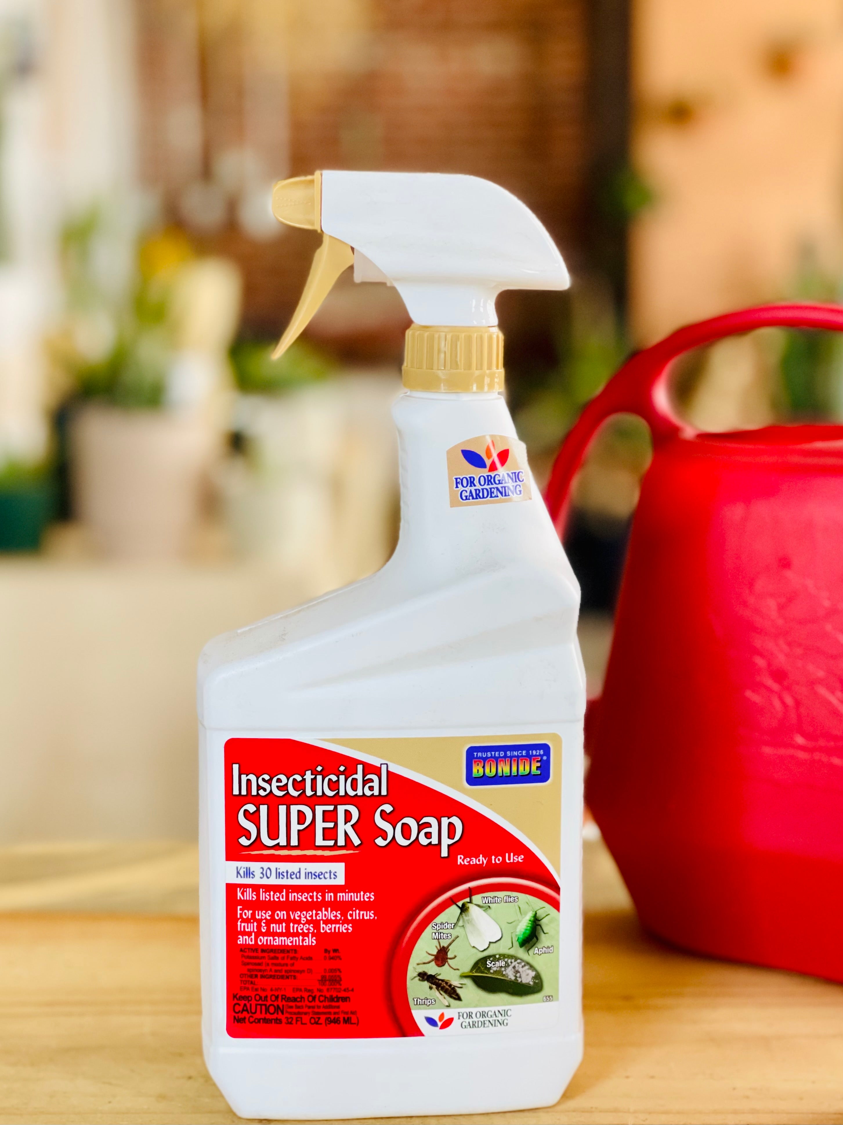 insecticidal super soap Bonide Insecticidal Soap – Desert Rose Cactus Lounge